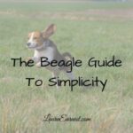 The Beagle Guide To Simplicity